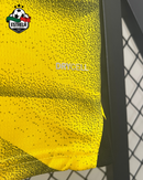 Camisola Borussia Dortmund Alternativa 23/24