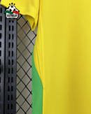 Camisola Brasil Futebol Feminino 2025