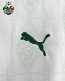 Camisola Palmeiras Alternativa 2025