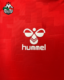Denmark Home Jersey 2024