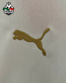 Kit Infantil Palmeiras Alternativa 2024