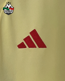 Wales Away Jersey 2024