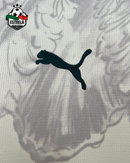 Camisola Palmeiras III 2025