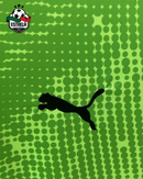 Camisola Portugal Guarda Redes Verde 2025