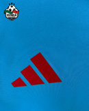 Camisola Feminina Flamengo Treino 2025